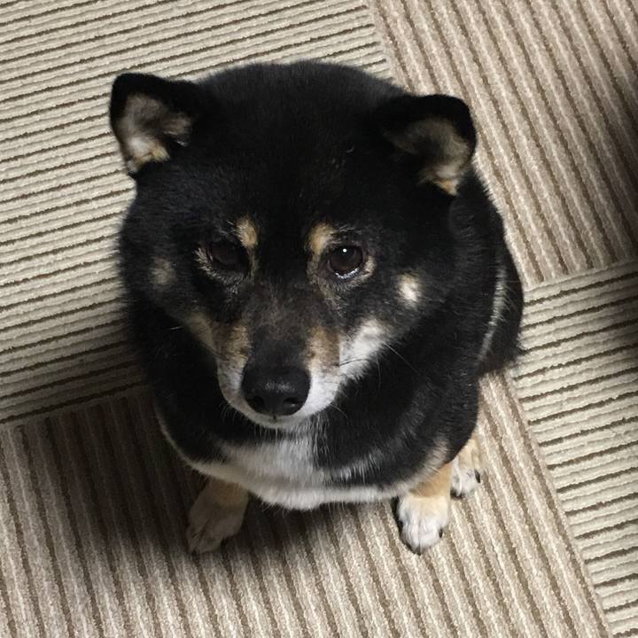 A3d9664d 67dd 4f4c 88b0 ac2bd2a9e5eb