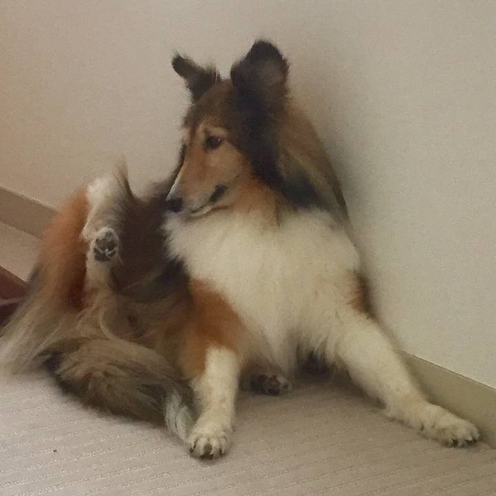 A3d9f1a2 3645 49cc bbce 804b8b307fb0