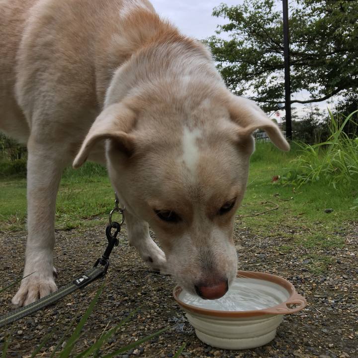 A3da1e11 b477 4cf7 8afb 8e99a6c4fe4a