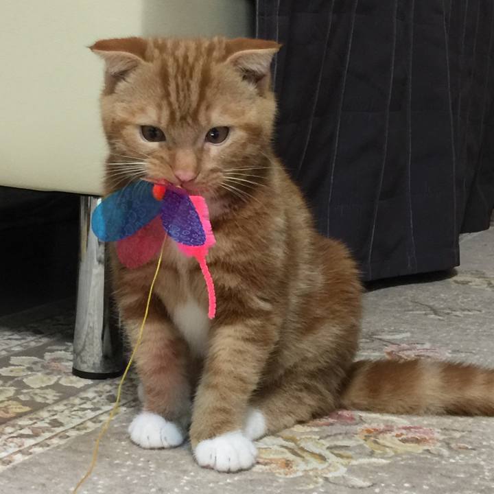 A3da3879 02d2 4275 8a37 dd8064a71ba4