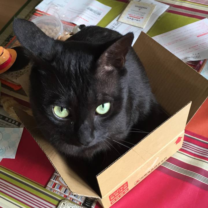 A3db192d 74f7 4f66 b6b0 464391693269