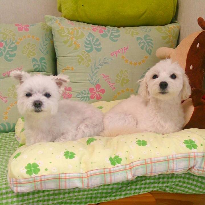 A3dcf897 2e94 42f8 9d3b c8ef9e7537a7