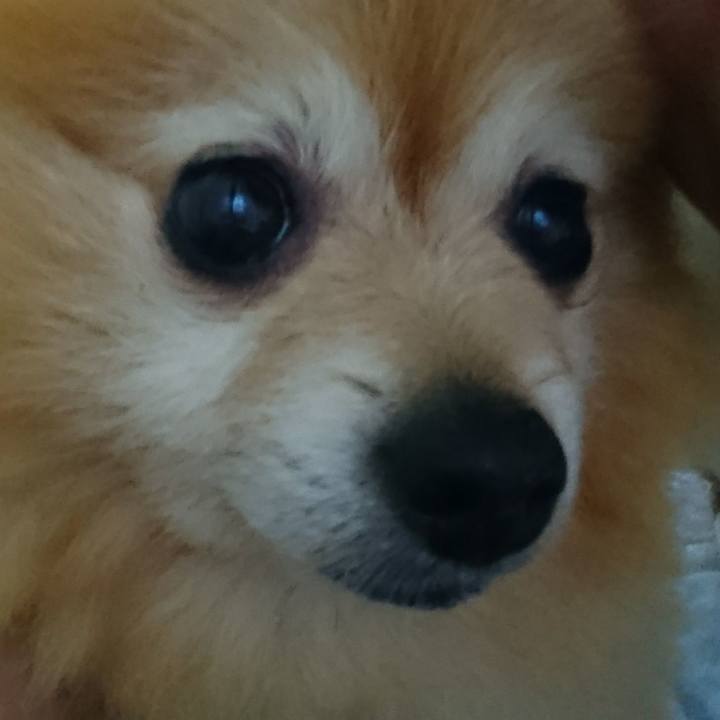 A3dcfcaf 394c 4621 83fb b1adfe3a8388