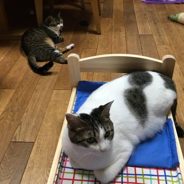 A3dd6858 6423 4cfe 83c3 9d015a5ccf73