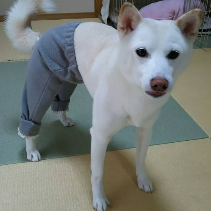 A3dda775 ebb7 4dab a336 7b1b3c0a673c