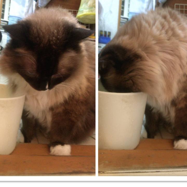 A3ddbb15 42d4 47fa 9fa9 dcd3495d50e1