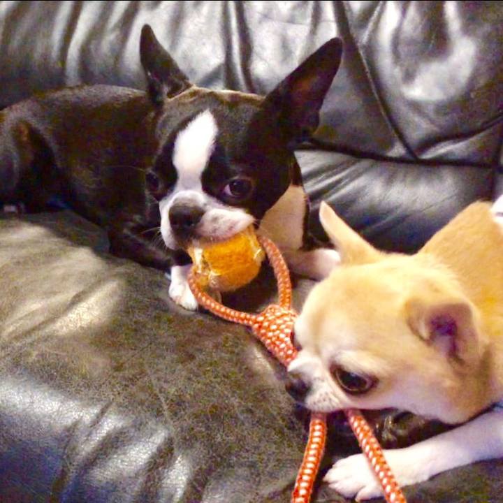 A3de384d e016 4e13 885e 18b13223cfb1