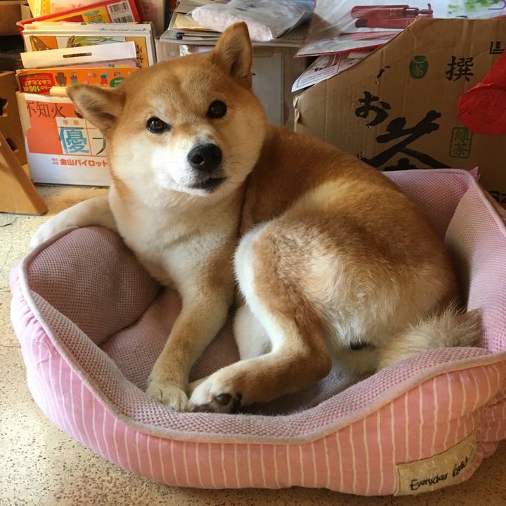 A3debc3e eec4 4725 bb88 489b44247995