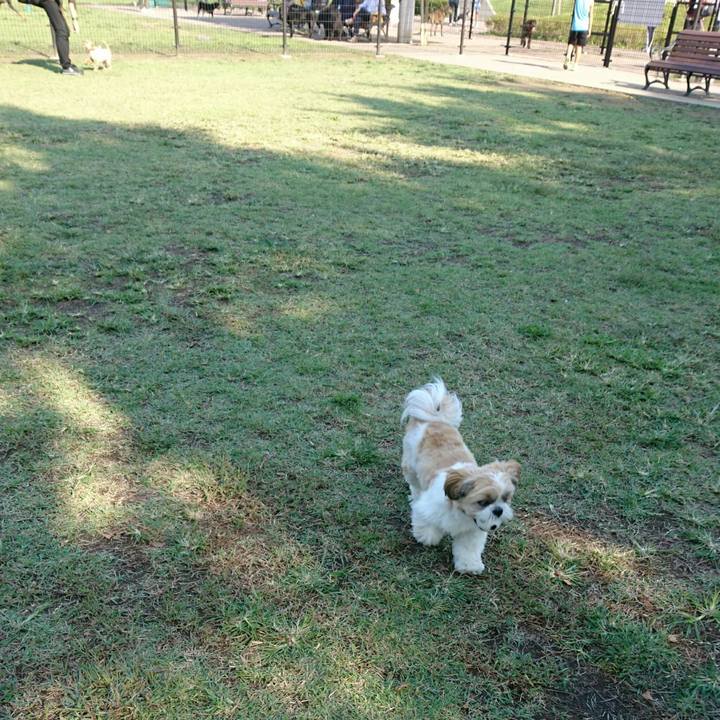 A3df5602 a5ad 416f bb0d 702d464a9d51