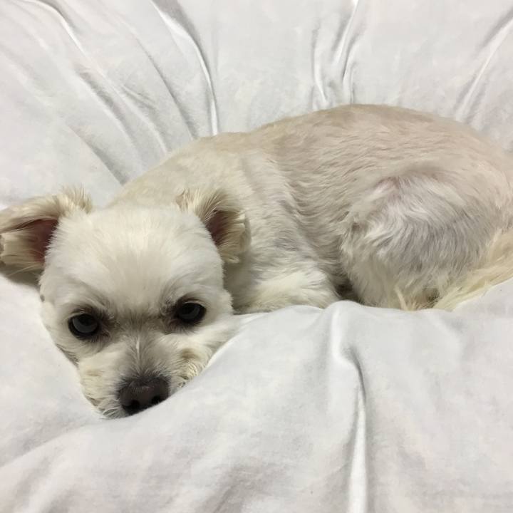 A3dff48d 802e 420a 8e2c 7624a0da3159