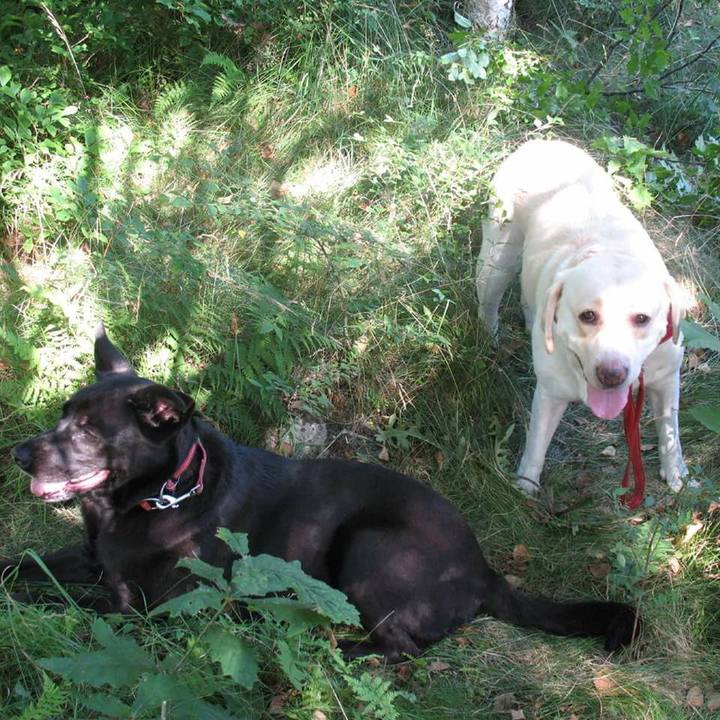 A3e09d02 e7df 4003 833f 4f369146dc64