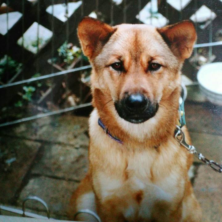 A3e0b92c 06a1 4dd2 928e 05964368ffad