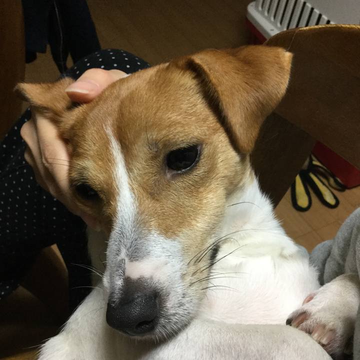 A3e0d384 be48 4f53 a2dc 6d4811569796