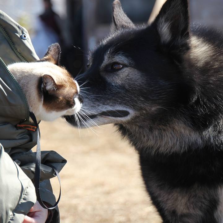 A3e15555 fcd9 40f9 81b6 3ef657d90724