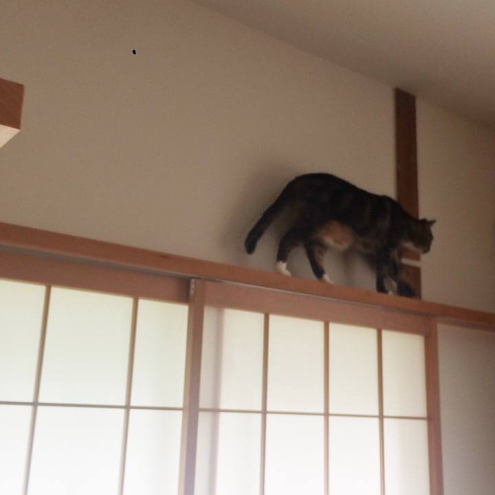 A3e16c32 5f67 4a04 84ea f21c07d75973