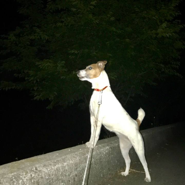 A3e1986b cab0 4385 8d0f 7d879f46b862