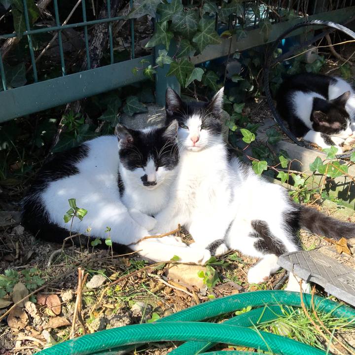 A3e25785 2748 4777 9222 8e8e81dab992