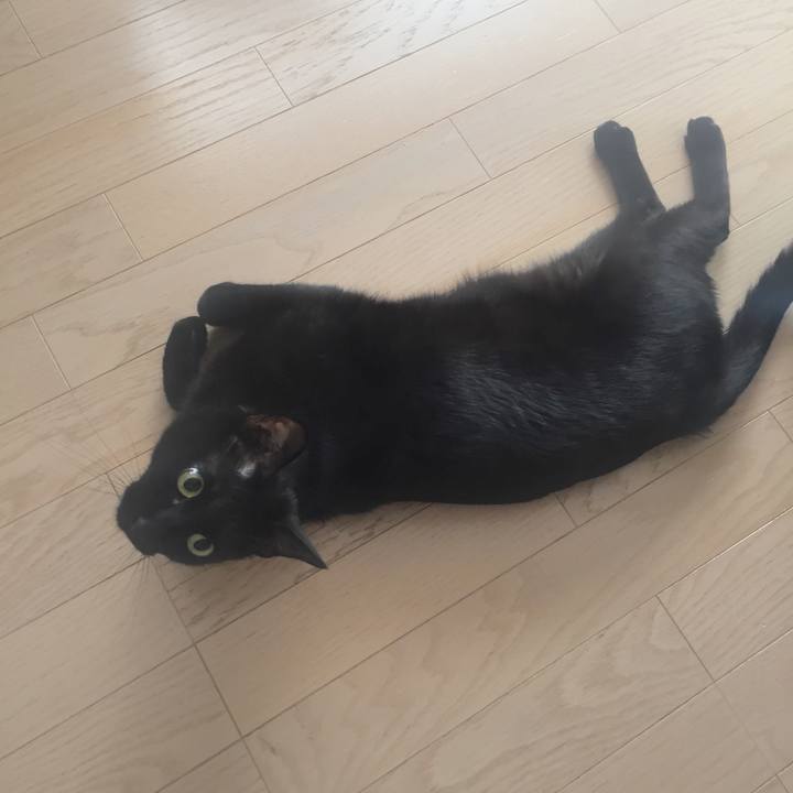 A3e28642 876d 4bc8 81e8 dda02be59b05