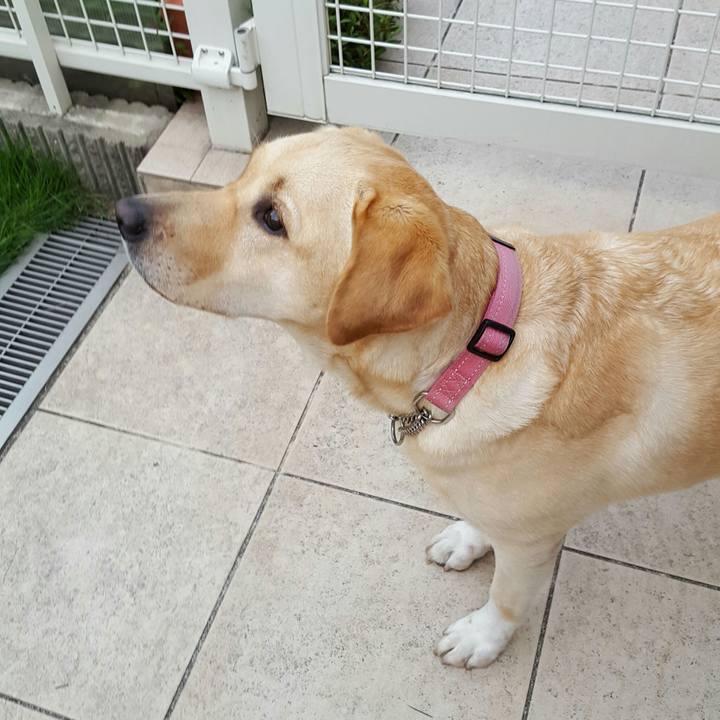 A3e30b7c e551 4e1e b63d 0b418ca52590