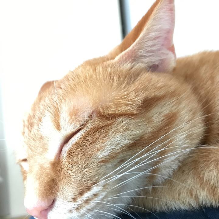 A3e31b32 5d4e 41c4 b594 38ab46c00087