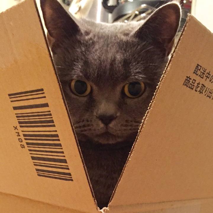 A3e3528b 1603 4535 81fa bffb5a64ac63