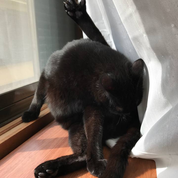 A3e352c0 f939 4218 ab7e 4cd752db5f97