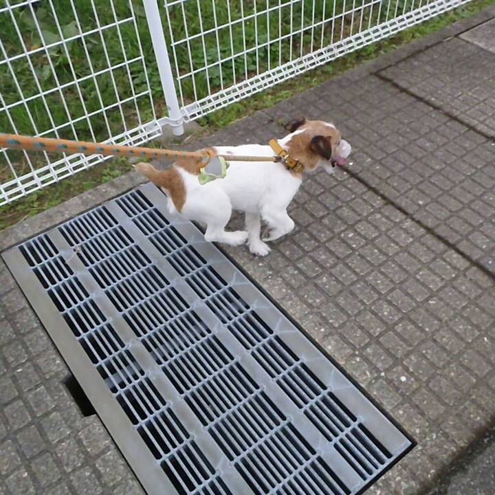 A3e3c920 287e 4e03 b809 492f58edea59