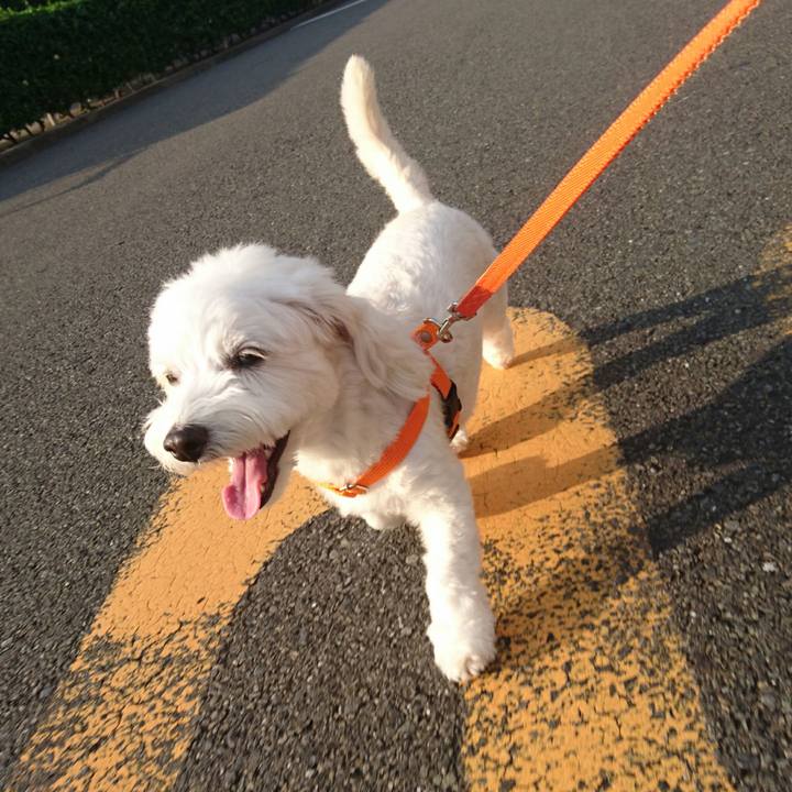 A3e3ed5f b3c7 4356 8e5a 1bff627595ca