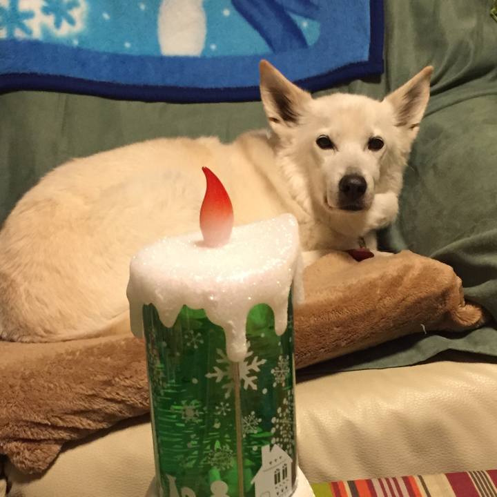 A3e44974 0974 4902 9cfd 9887700633e2