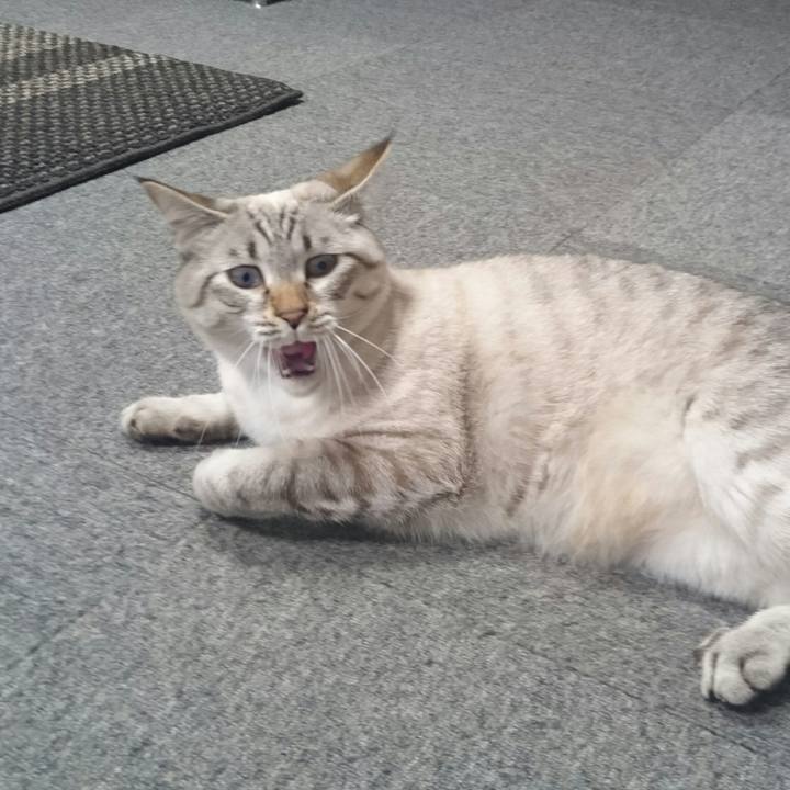 A3e48284 a9ae 4303 9438 26cbca824c63