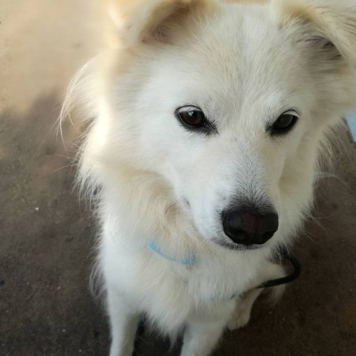 A3e52b9d 2d21 44b6 ab81 86630bebb253