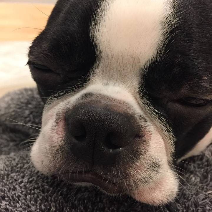 A3e58abf 834f 4098 acb5 534a7b57cbb2