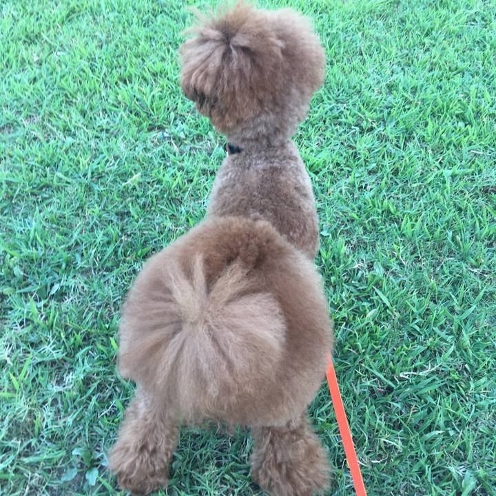 A3e5dfbf 2550 474e a487 27ef19549ad1