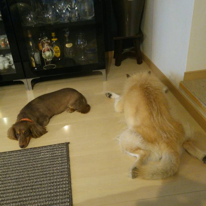 A3e5f780 df25 457c 9d16 2cfc76b24f4b