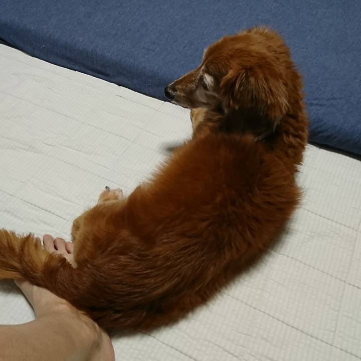 A3e82722 b7d5 408b 8a85 0d4939a093eb