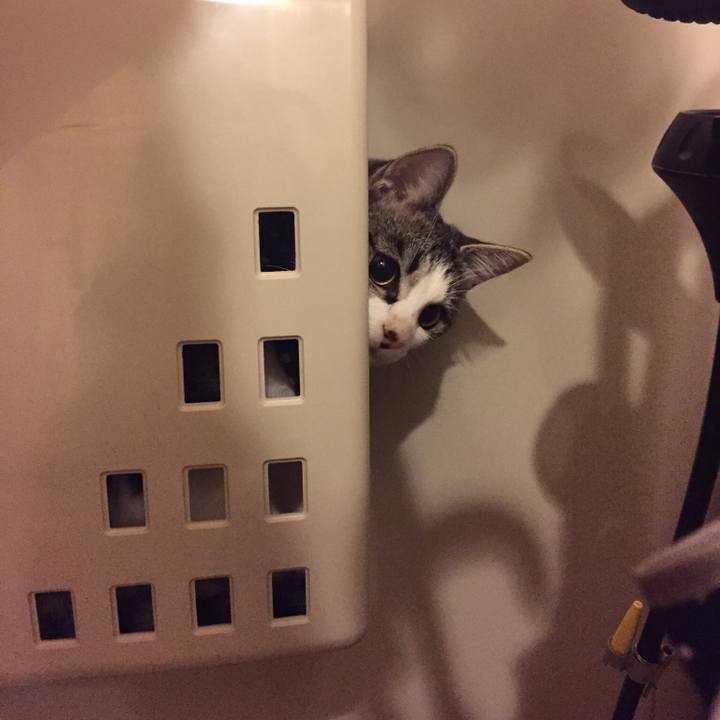 A3e846c1 7381 4ae0 b7c0 86882aa5a82c