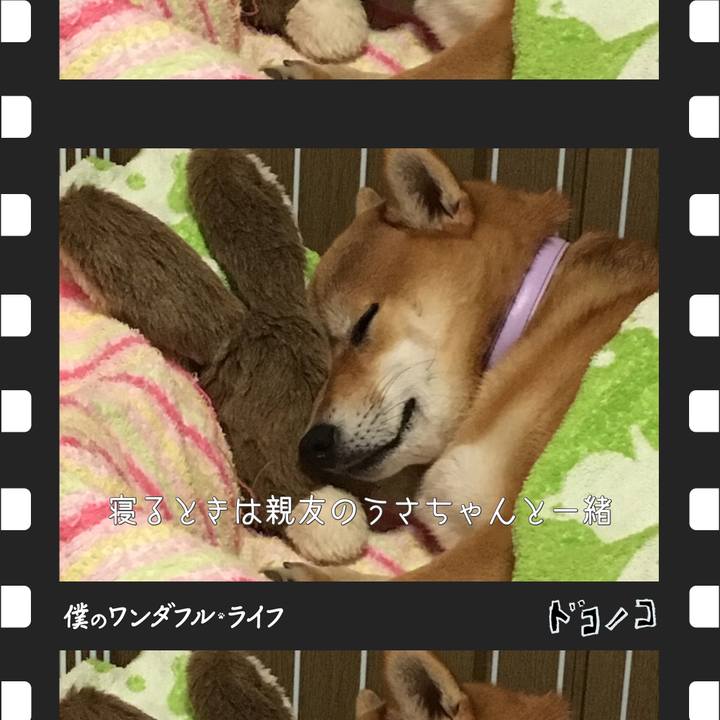 A3e8736c aadf 4f89 a4ef 2a2ed2461ac2