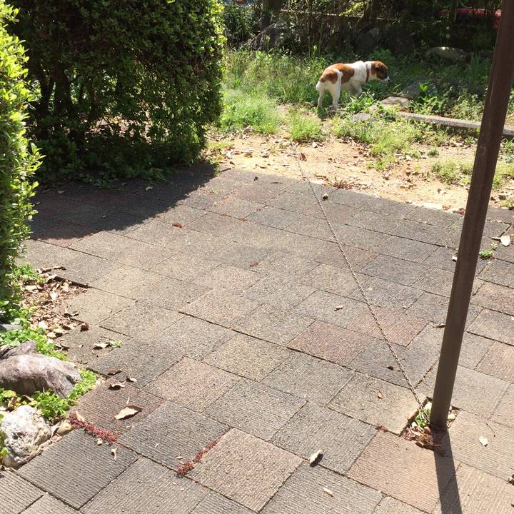 A3e9746e 05bc 48ee b9d4 c7306425d02e