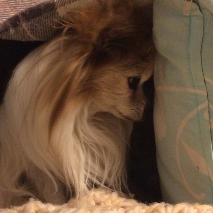 A3e9b9c1 07e8 4e95 9a59 8d96c1e07ce0