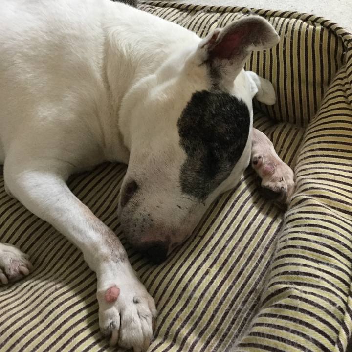 A3ea1a02 4fe5 4b8b 9dd0 d0cf459f37ce