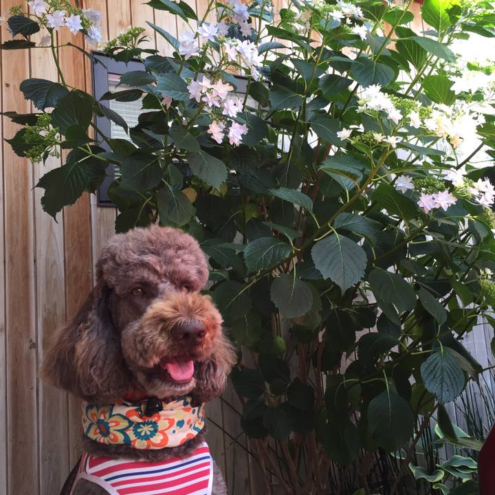 A3ebbd01 21c2 4762 a190 7962510fbf87