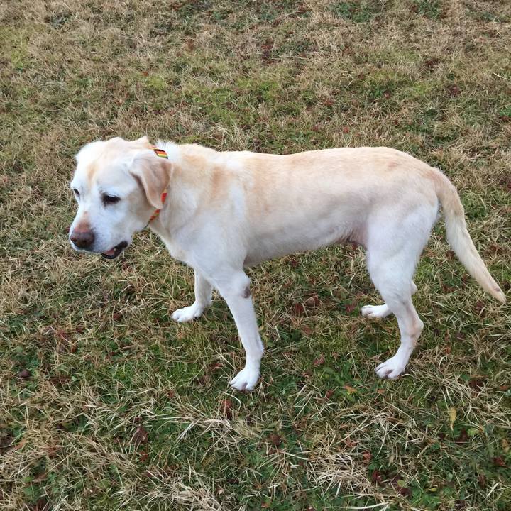 A3ebffdd a8a1 45a8 936a b2c4e6872df8