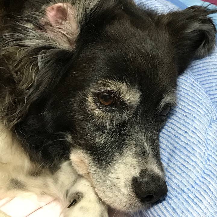 A3ec1aeb d62c 41d0 abe3 28ee84d6cc1b