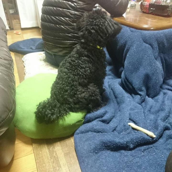 A3ec3ca8 f7d5 424c 95c8 73dd6eb154d2