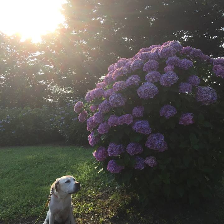 A3ec59b1 35af 425a b553 b8ee0aeefa2b