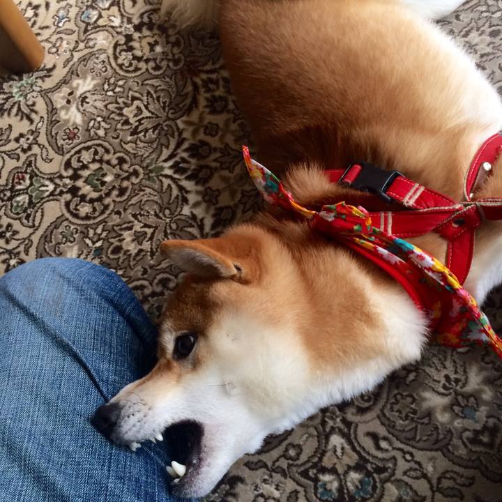 A3ecc909 9431 41c3 82b4 6680bbd86572