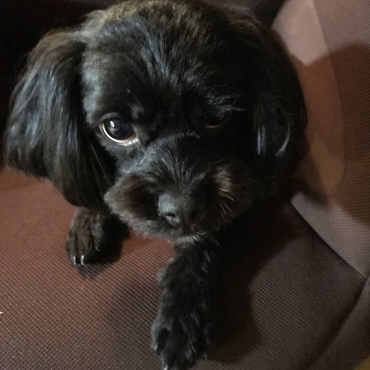 A3ed35d4 9deb 432d 8000 1b96a7249f7e