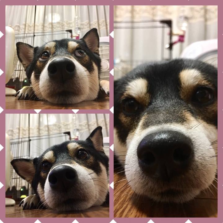 A3ed8d97 80b1 4adb b237 899b23f3aee0