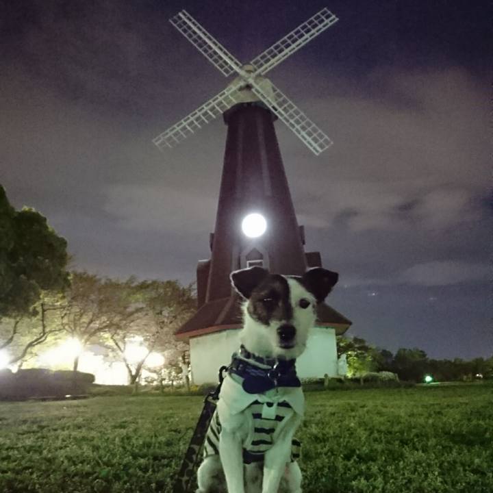 A3ef0e6f 160d 44bc 93dd 3cbbe99c02c1