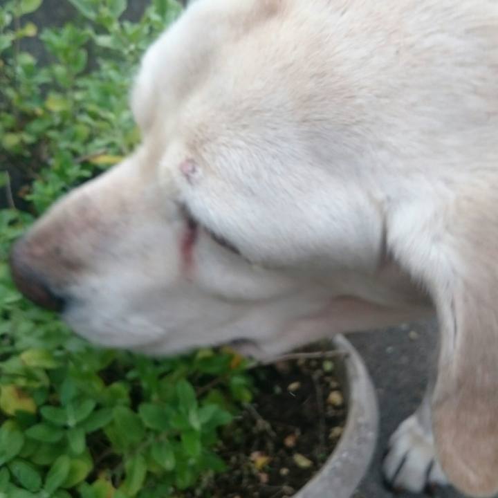 A3ef0fe6 aee6 431e 8463 c138a7fa2d1a